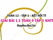 Bài 1.1 SGK Toán 12 tập 1 Kết nối tri thức
